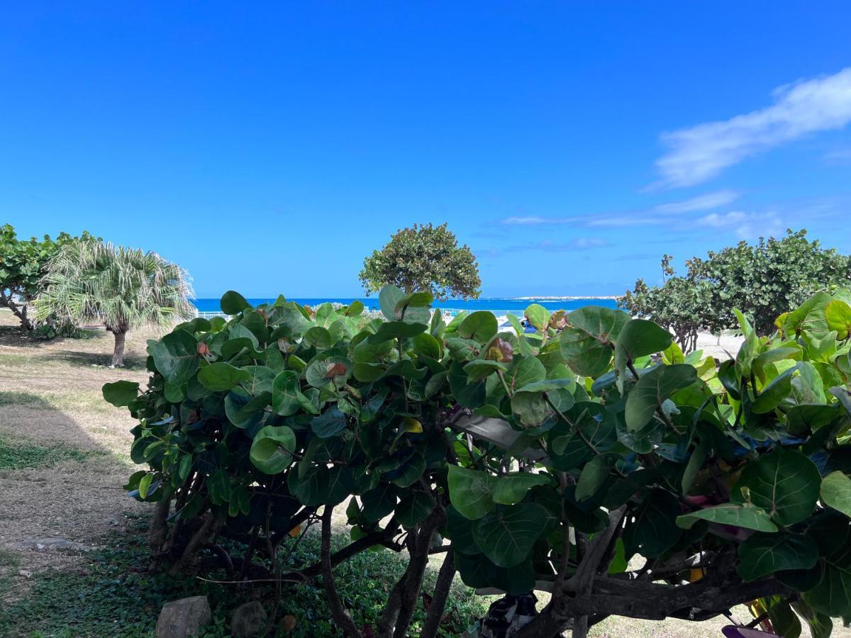 Orient Bay Studio Saba Face A La Mer Куль-де-Сак Экстерьер фото
